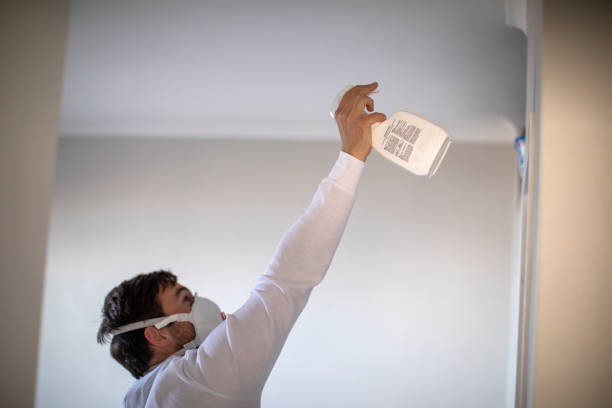  Armada, MI Mold Removal Pros