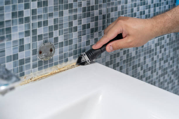 Best Home Mold Removal  in Armada, MI