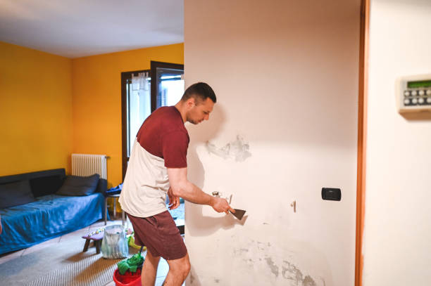 Best Water Damage Restoration  in Armada, MI